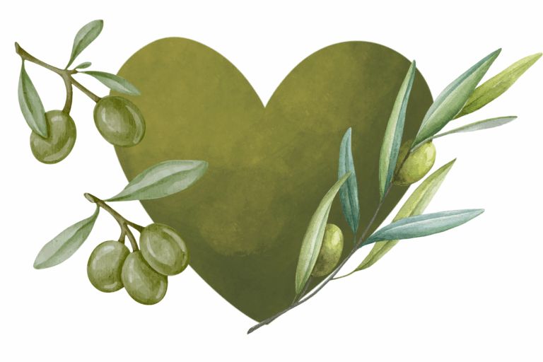 Illustration de branche d'olivier
