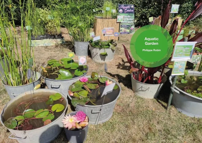 Aquatic Garden