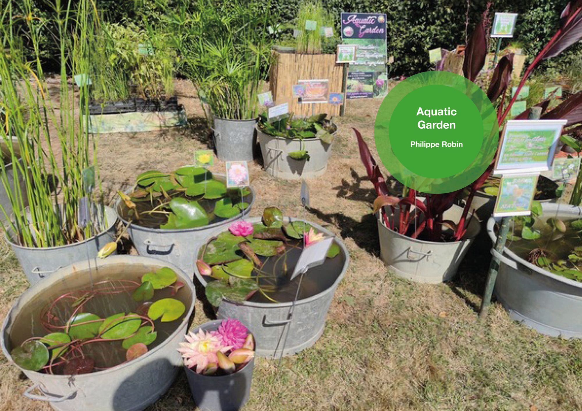 Aquatic Garden