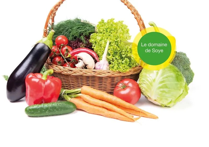 Domaine de Soye