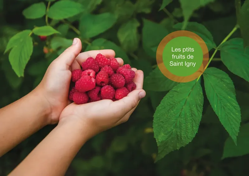 Les p'tits Fruits de Saint Igny