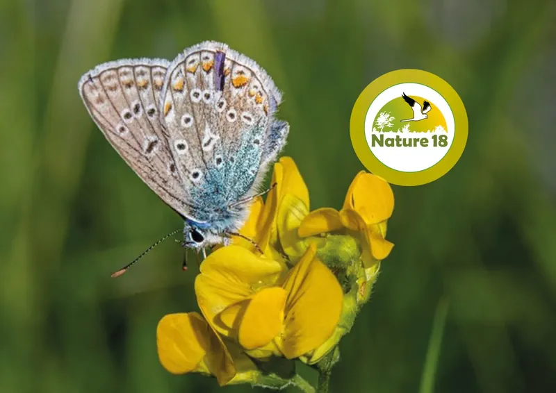 Nature 18