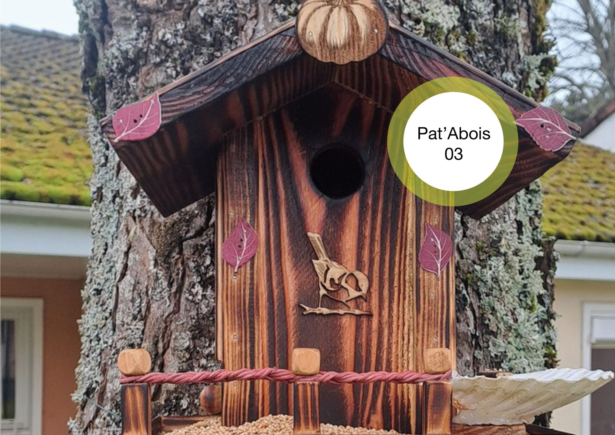 Pat'Abois03