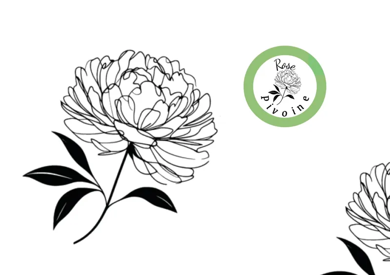 Rose Pivoine