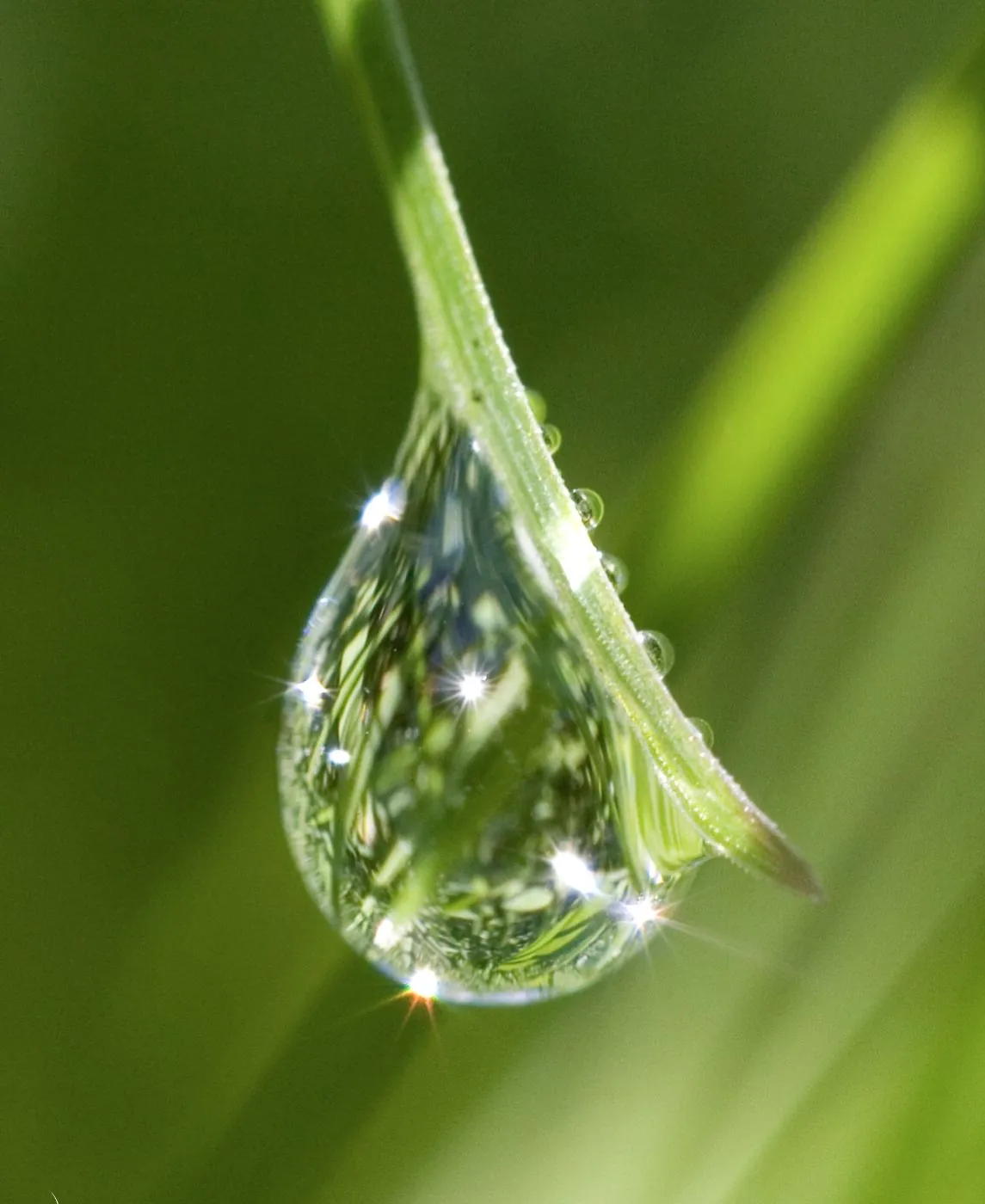 Goutte d'eau en forme de diamant suspendue à un brin d'herbe, reflets scintillants.