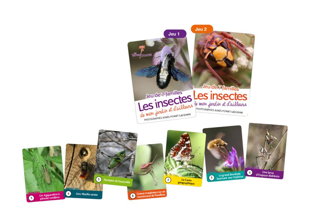Jeu de cartes « 7 familles, Les Insectes de mon jardin et d'ailleurs », photographies d'Agnès Poyart-Saegeman.