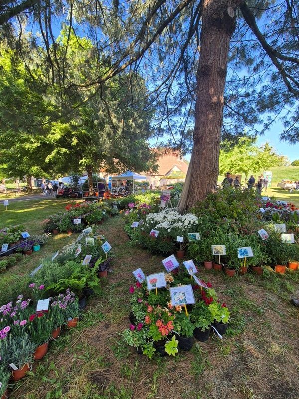 Visiteuse parmi les stands de la Fête des Plantes à Drevant