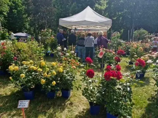 Visiteurs et exposants devant un stand de roses