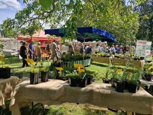 Stands de plantes et grands parasols bleus