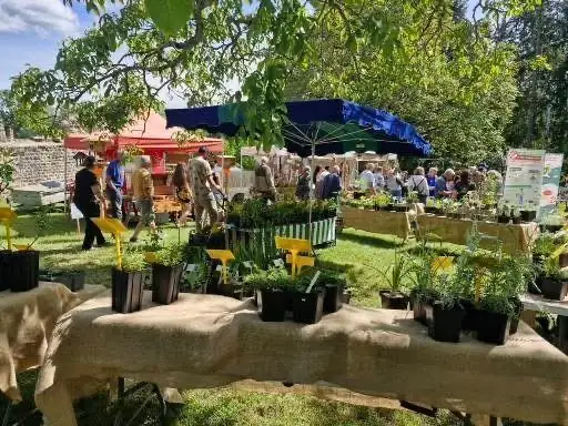 Stands de plantes et grands parasols bleus